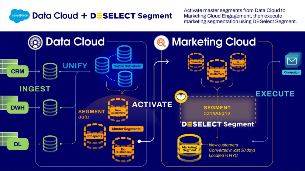 Salesforce Data Cloud works together with DESelect Segment